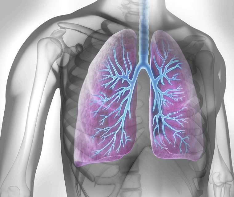 Allergisches Asthma: Behandlung & Dauertherapie | asthma.de