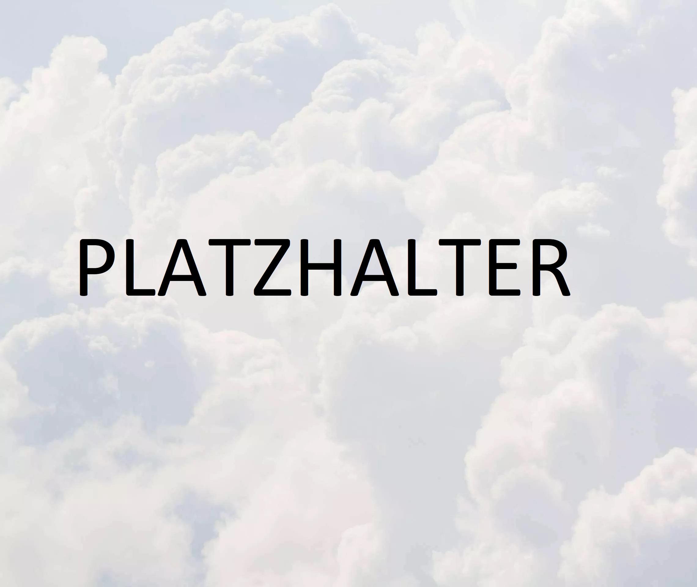 PLATZHALTER