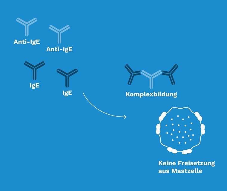 Grafik: Keine Freisetzung der Mastzelle