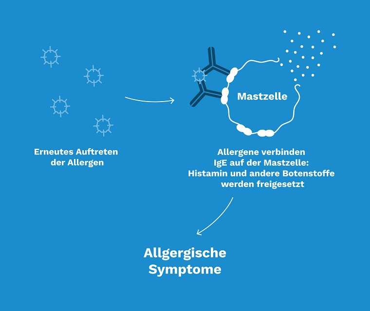Grafik: Allergische Symptome