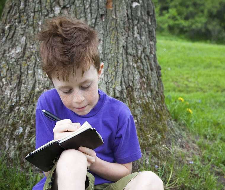 Junge schreibt in sein Tagebuch